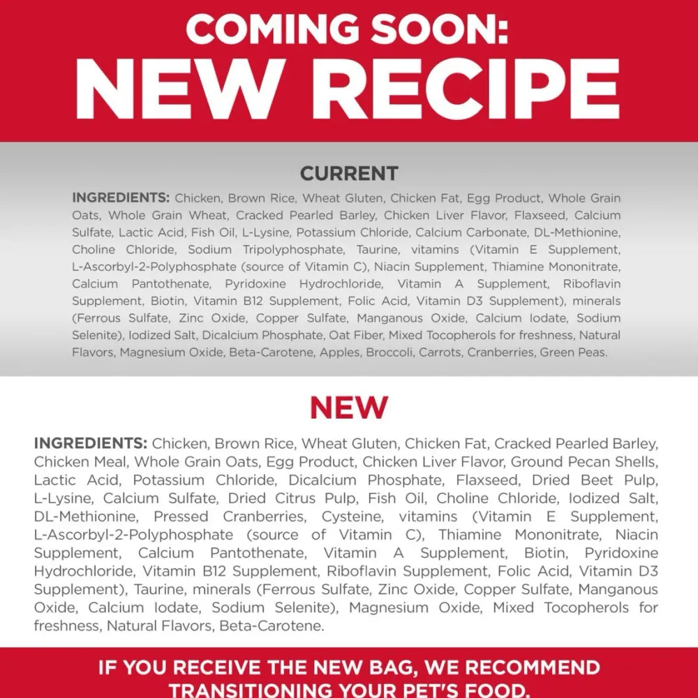 Clearance Dry Cat Food, Kitten, Chicken Recipe Dry Food Dry Cat Food