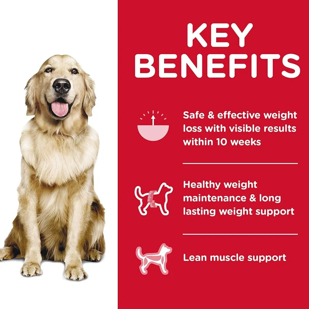 Online Dry Dog Food Adult Perfect Weight for Weight Management Chicken Recipe Food Dry, Wet, Freeze Dried, Etc.