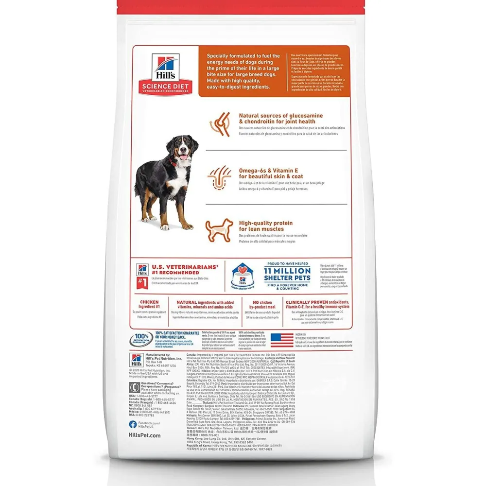 Sale Dry Dog Food Adult 1-5 Large Breed Chicken Food Dry, Wet, Freeze Dried, Etc.