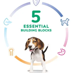 Online Dry Dog Food, Puppy, Chicken Meal & Barley Recipe Food Dry, Wet, Freeze Dried, Etc.