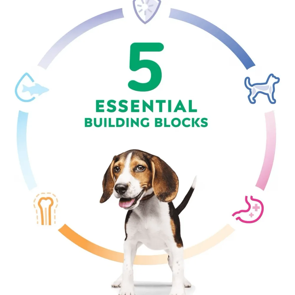 Online Dry Dog Food, Puppy, Chicken Meal & Barley Recipe Food Dry, Wet, Freeze Dried, Etc.
