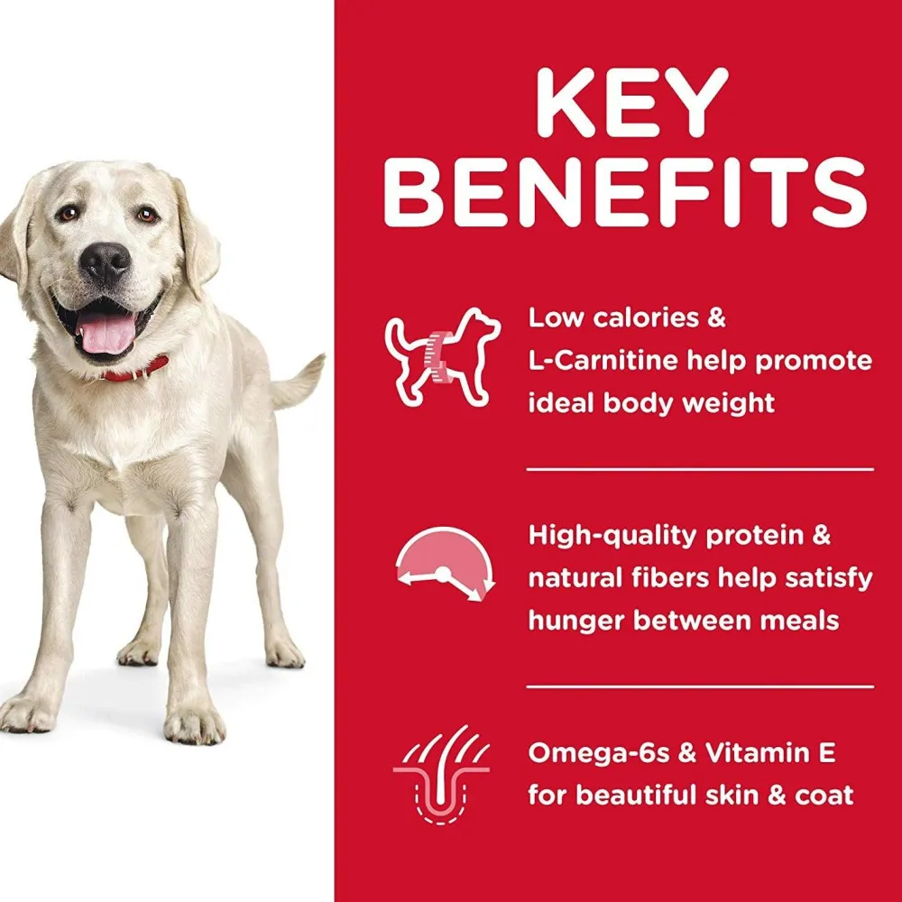 Hot Dry Dog Food, Adult, Large Breed, Light, Chicken Meal & Barley Recipe for Healthy Weight & Weight Management Food Dry, Wet, Freeze Dried, Etc.