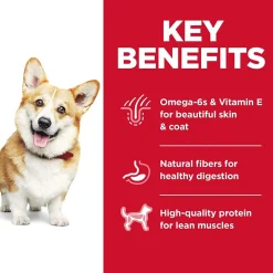 Clearance Dry Dog Food Adult Small Bites Chicken & Barley Recipe Food Dry, Wet, Freeze Dried, Etc.