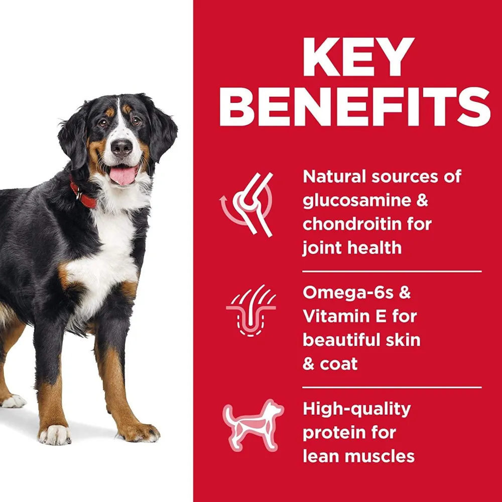 Sale Dry Dog Food Adult 1-5 Large Breed Chicken Food Dry, Wet, Freeze Dried, Etc.