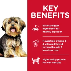 Discount Dry Dog Food Adult Small Paws for Small Breed Dogs Food Dry, Wet, Freeze Dried, Etc.
