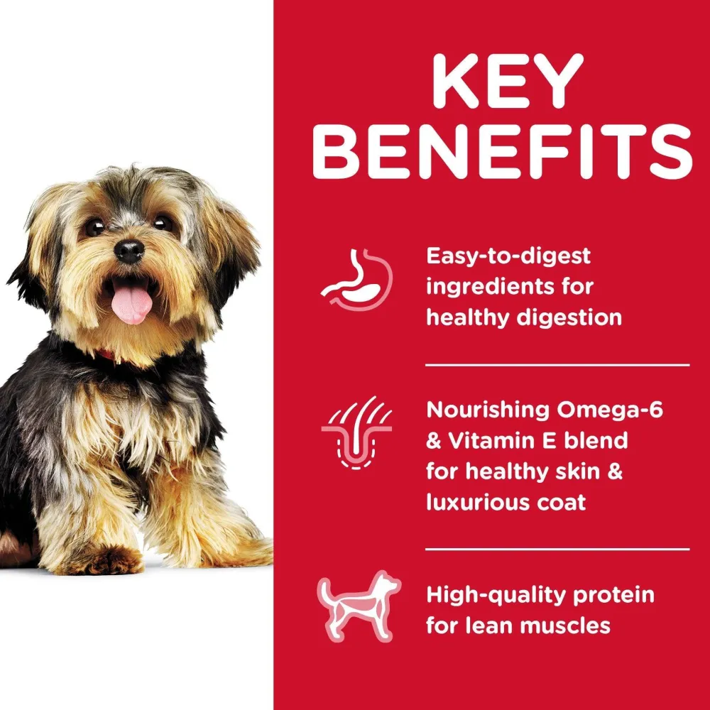 Discount Dry Dog Food Adult Small Paws for Small Breed Dogs Food Dry, Wet, Freeze Dried, Etc.