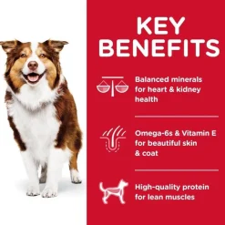 Sale Dry Dog Food, Adult 7+ for Senior Dogs, Chicken Meal, Barley & Brown Rice Recipe Food Dry, Wet, Freeze Dried, Etc.