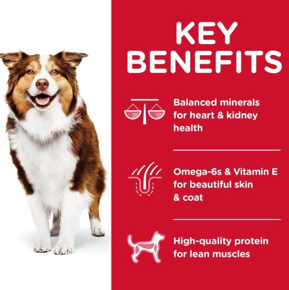 Sale Dry Dog Food, Adult 7+ for Senior Dogs, Chicken Meal, Barley & Brown Rice Recipe Food Dry, Wet, Freeze Dried, Etc.