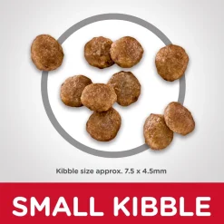 Discount Dry Dog Food Adult Small Paws for Small Breed Dogs Food Dry, Wet, Freeze Dried, Etc.