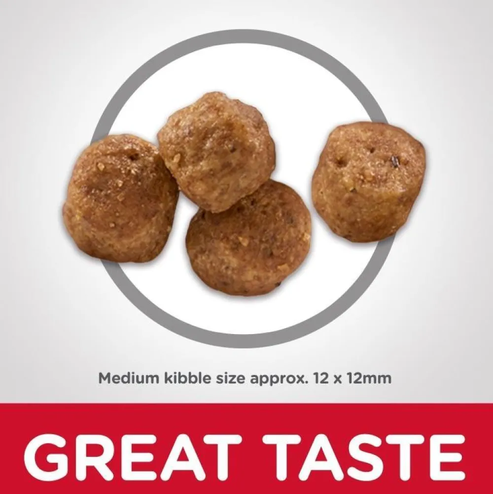 Sale Dry Dog Food, Adult 7+ for Senior Dogs, Chicken Meal, Barley & Brown Rice Recipe Food Dry, Wet, Freeze Dried, Etc.