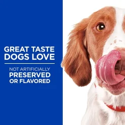 Sale Flexi-Stix Dog Treats Turkey Treats Treats & Chews