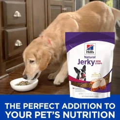 Hot Jerky Treats Chicken Treats Treats & Chews