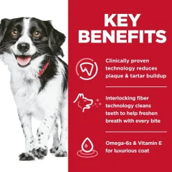 Outlet Oral Care Small & Mini Chicken Recipe Adult Dry Dog Food Food Dry, Wet, Freeze Dried, Etc.
