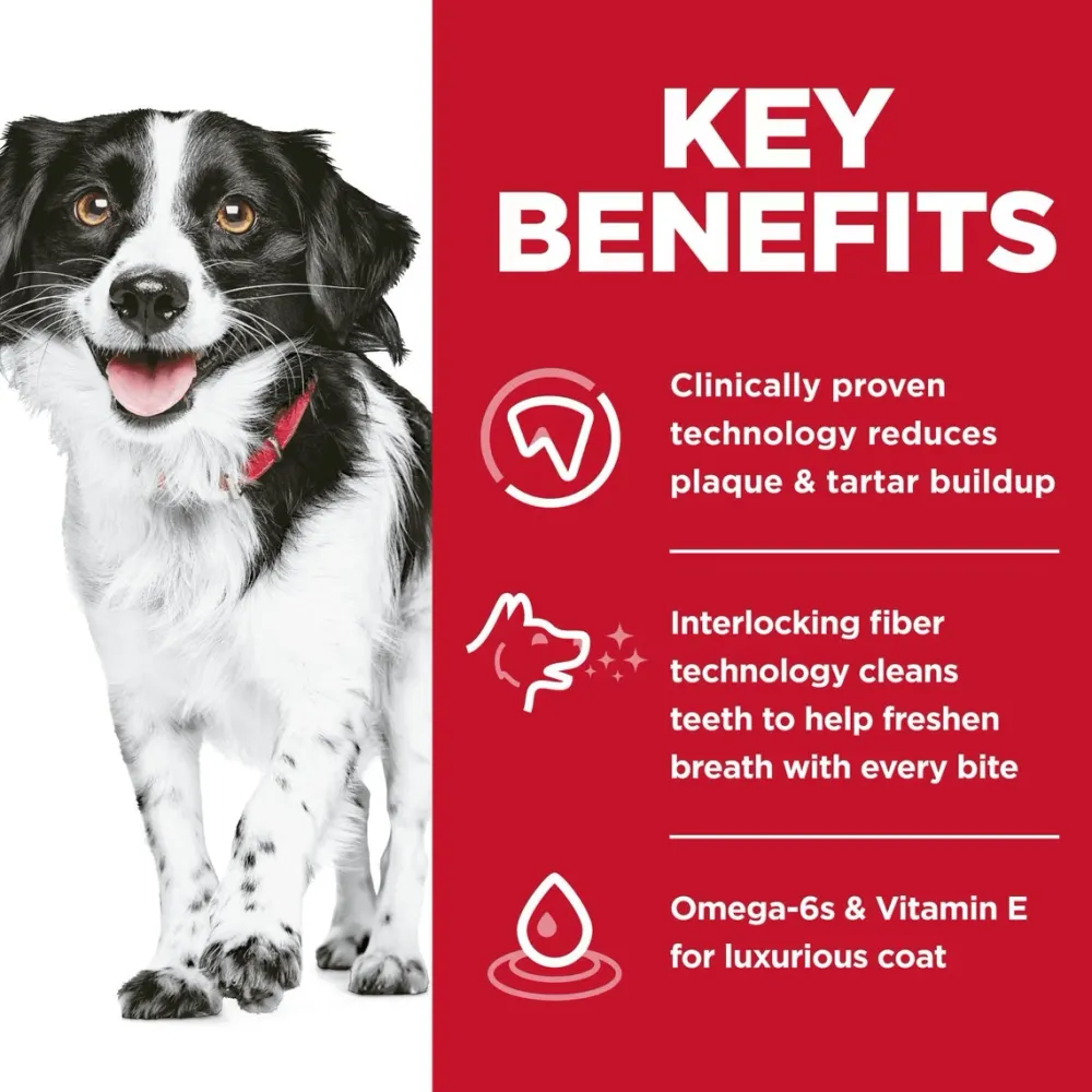 Outlet Oral Care Small & Mini Chicken Recipe Adult Dry Dog Food Food Dry, Wet, Freeze Dried, Etc.