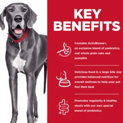 Online Perfect Digestion Large Breed Chicken, Brown Rice & Whole Oats Recipe Dog Food Food Dry, Wet, Freeze Dried, Etc.