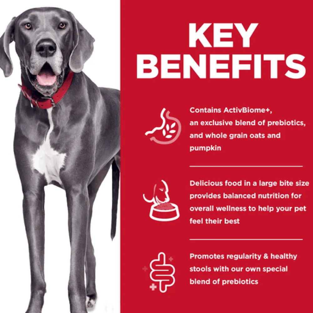Online Perfect Digestion Large Breed Chicken, Brown Rice & Whole Oats Recipe Dog Food Food Dry, Wet, Freeze Dried, Etc.