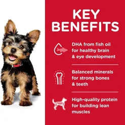 Discount Puppy Small & Toy Breed dog food Food Dry, Wet, Freeze Dried, Etc.