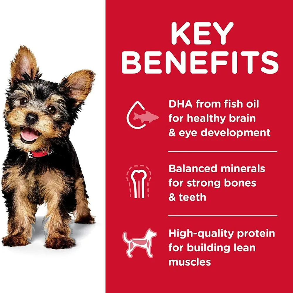 Discount Puppy Small & Toy Breed dog food Food Dry, Wet, Freeze Dried, Etc.