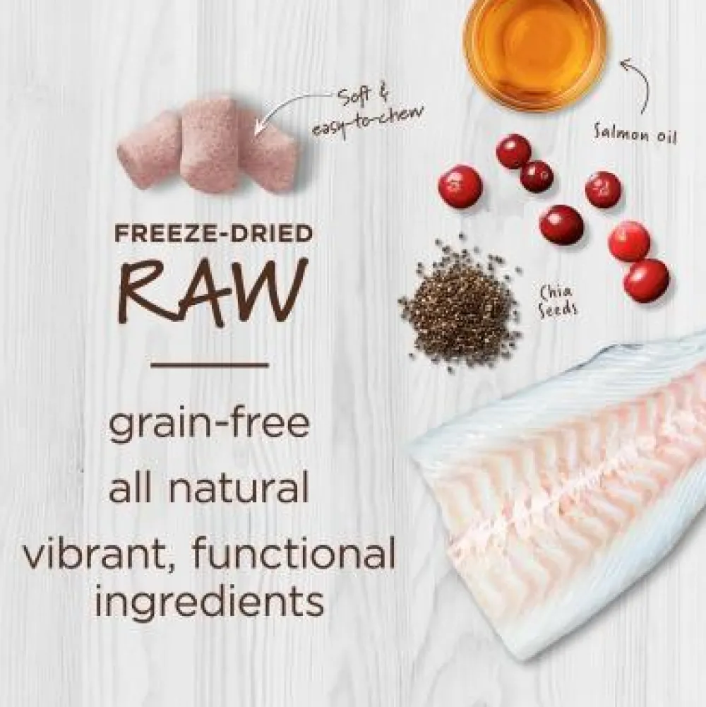 Best Cat Raw Boost Freeze Dried Mixers Skin & Coat Dry Food Dry Cat Food
