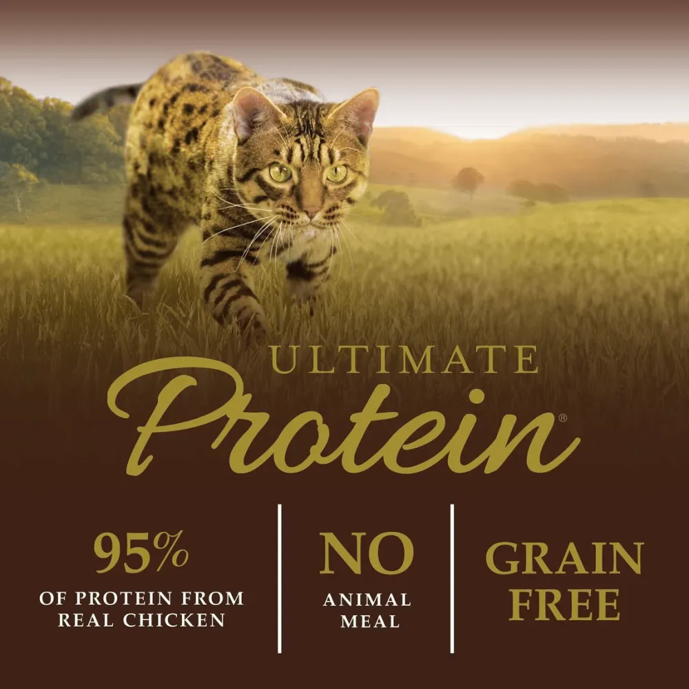 Outlet Ultimate Protein Grain-Free Cage-Free Chicken Recipe Dry Cat Food Dry Food Dry Cat Food