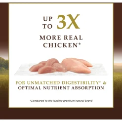 Outlet Ultimate Protein Grain-Free Cage-Free Chicken Recipe Dry Cat Food Dry Food Dry Cat Food