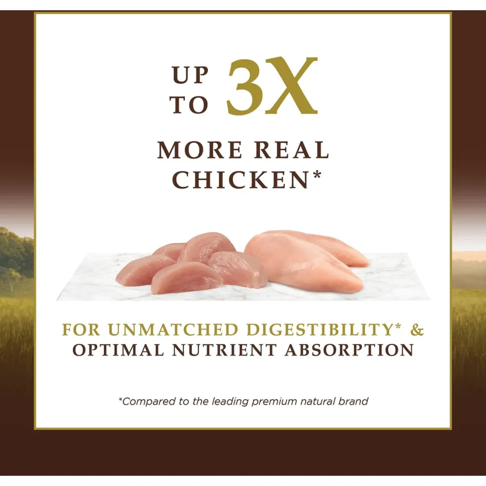 Outlet Ultimate Protein Grain-Free Cage-Free Chicken Recipe Dry Cat Food Dry Food Dry Cat Food
