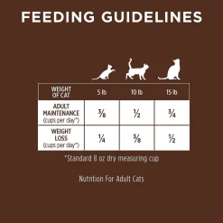 Outlet Ultimate Protein Grain-Free Cage-Free Chicken Recipe Dry Cat Food Dry Food Dry Cat Food
