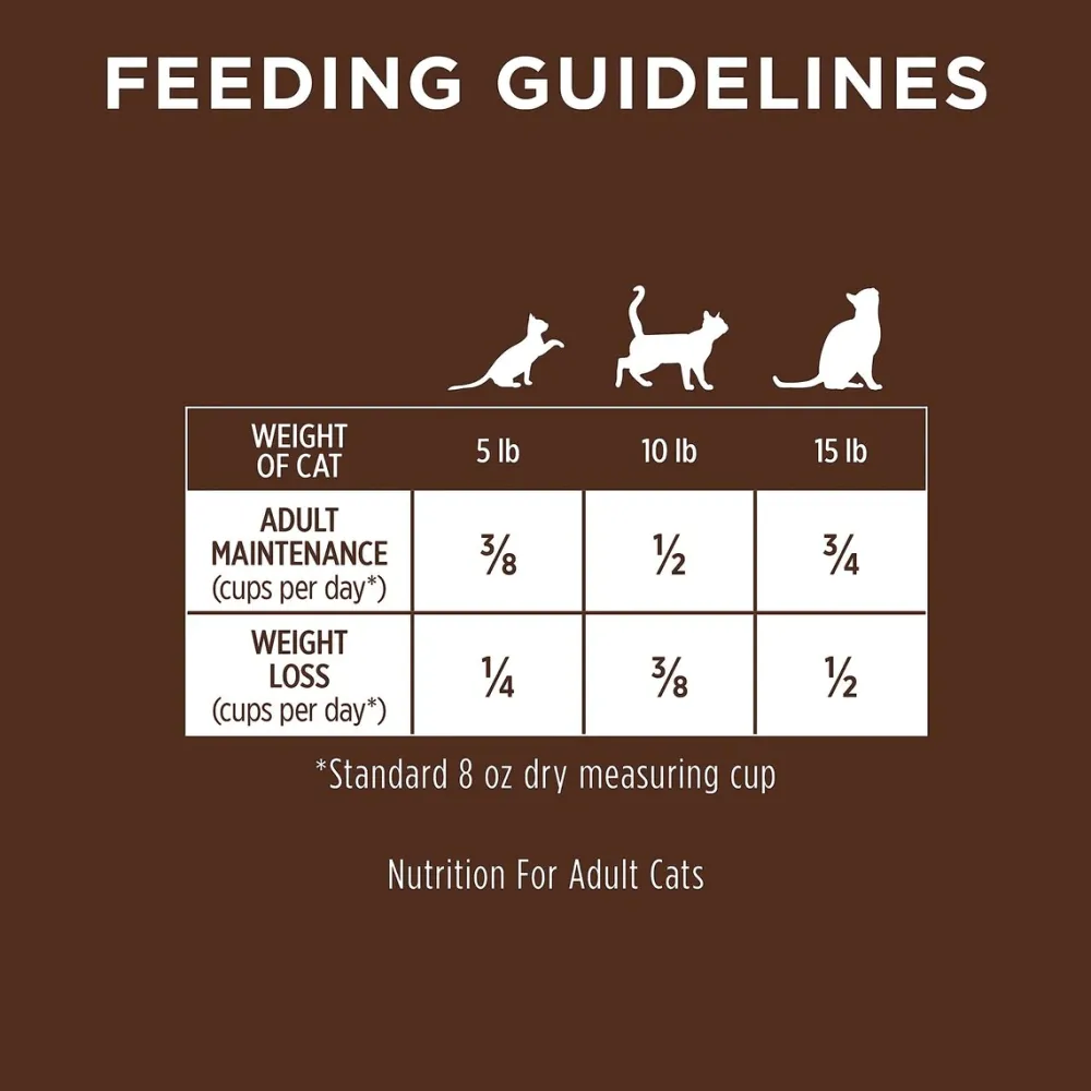 Outlet Ultimate Protein Grain-Free Cage-Free Chicken Recipe Dry Cat Food Dry Food Dry Cat Food