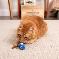 Discount Cat Chatty Chirp Plush Bird Supplies Collars, Scratchers, Toys, Etc.