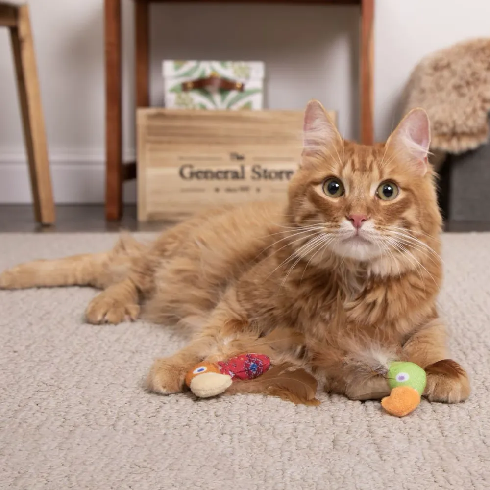 Sale Cat Love Mates Feathery Plush HappyNip 2 Pack Supplies Collars, Scratchers, Toys, Etc.