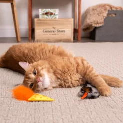Clearance Cat Mouse N Mate Refillable Mouse With HappyNip Supplies Collars, Scratchers, Toys, Etc.