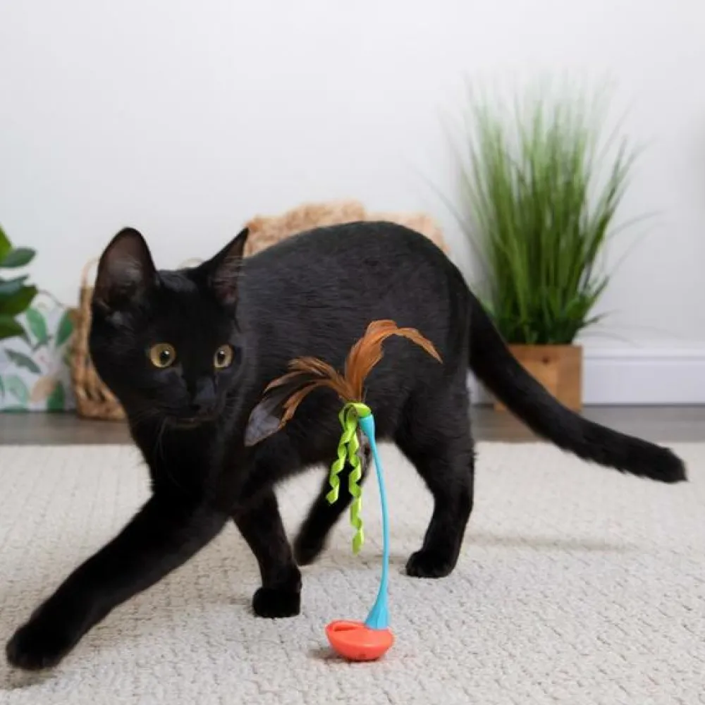 New Cat Rowdy Rockerwand Toy with Feathers Supplies Collars, Scratchers, Toys, Etc.