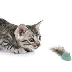 Hot Cat Sneaky Sliderrollinmarble Raccoon Supplies Collars, Scratchers, Toys, Etc.