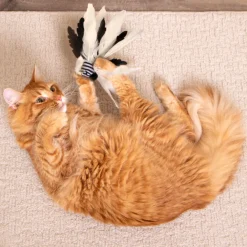 Hot Cat Zingy Zebratoss & Chase Happy Nip Feathered Supplies Collars, Scratchers, Toys, Etc.