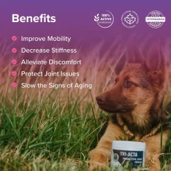 Fashion Integricare Muscle and Joint Supplement for Pets Supplies Leashes, Collars, Beds, Flea & Tick, Etc.