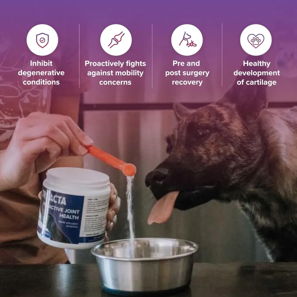 Fashion Integricare Muscle and Joint Supplement for Pets Supplies Leashes, Collars, Beds, Flea & Tick, Etc.