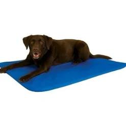 Best K & H Cool Bed III Blue Large Supplies Leashes, Collars, Beds, Flea & Tick, Etc.