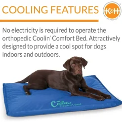 Best K & H Cool Bed III Blue Large Supplies Leashes, Collars, Beds, Flea & Tick, Etc.
