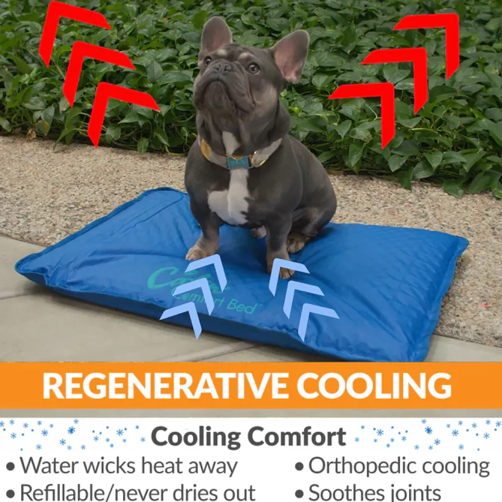 Best K & H Cool Bed III Blue Large Supplies Leashes, Collars, Beds, Flea & Tick, Etc.