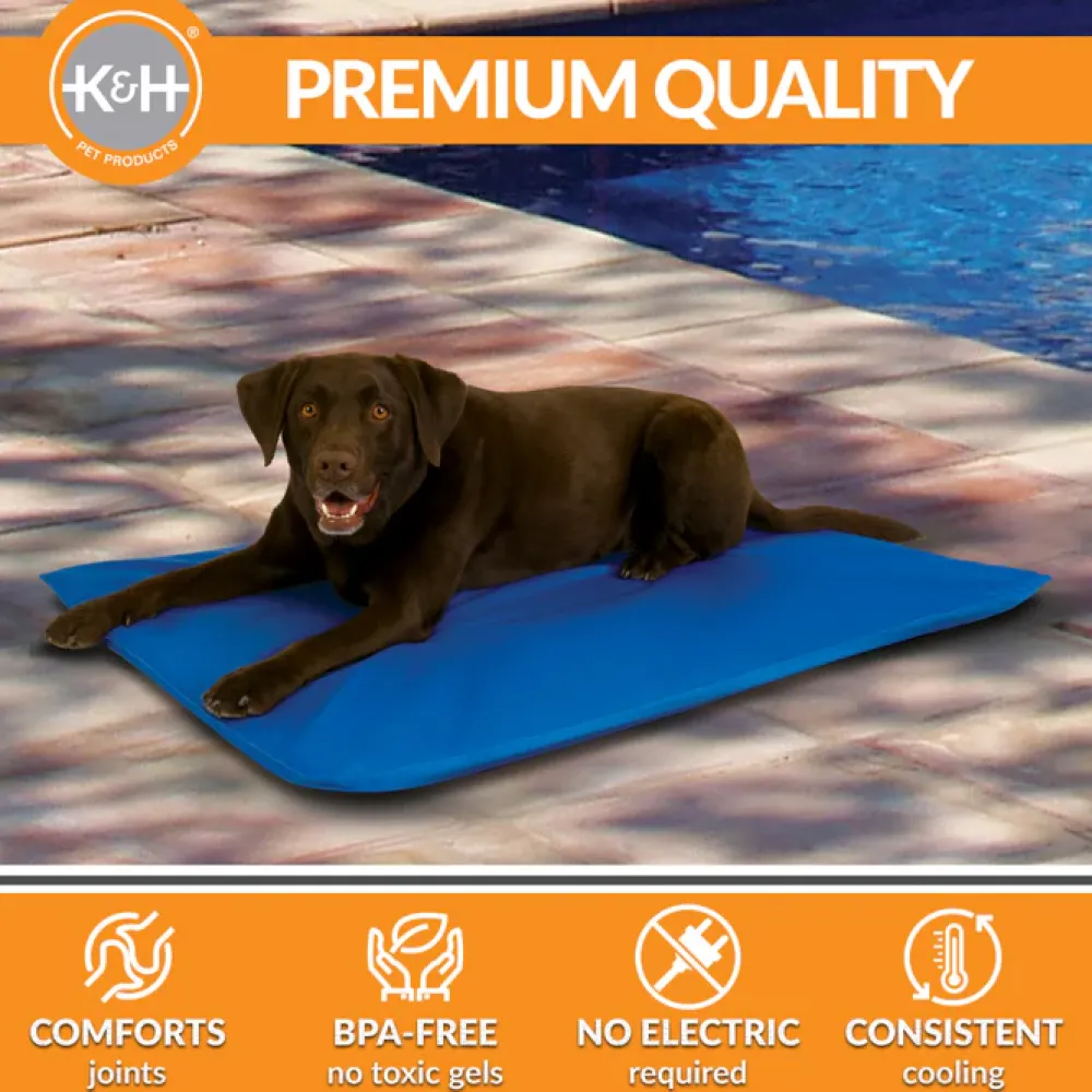 Best K & H Cool Bed III Blue Large Supplies Leashes, Collars, Beds, Flea & Tick, Etc.