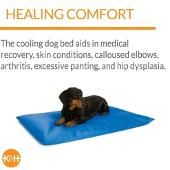 Best K & H Cool Bed III Blue Large Supplies Leashes, Collars, Beds, Flea & Tick, Etc.