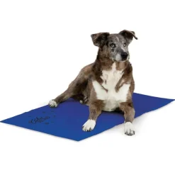 Online Coolin' Pet Pad Supplies Leashes, Collars, Beds, Flea & Tick, Etc.