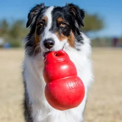 Best Bounzer Supplies Leashes, Collars, Beds, Flea & Tick, Etc. | Toys Interactive, Plush, Etc.
