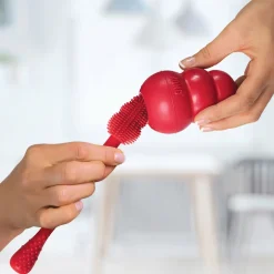 Hot Brush - Giveaway Supplies Leashes, Collars, Beds, Flea & Tick, Etc. | Toys Interactive, Plush, Etc.