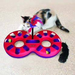 Best Cat Eight Track Supplies Collars, Scratchers, Toys, Etc.