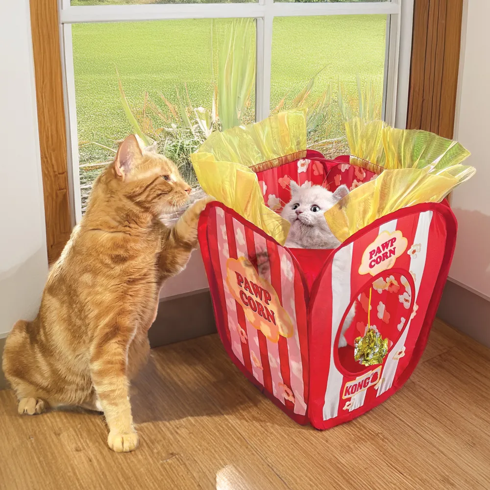 Best Cat Play Space Pawcorn Supplies Collars, Scratchers, Toys, Etc.