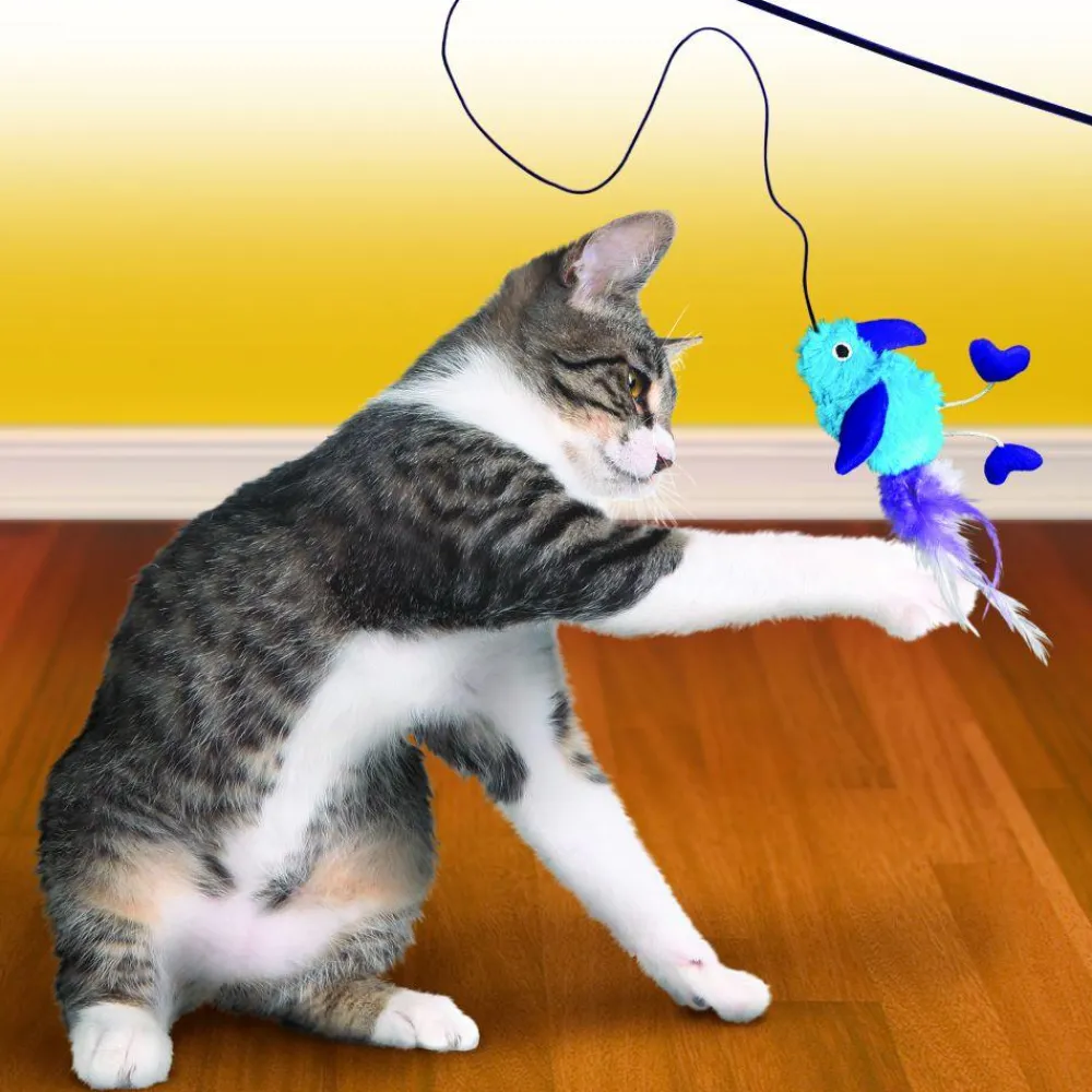 Discount Cat Toy Feather Teaser Assorted Characters Supplies Collars, Scratchers, Toys, Etc.