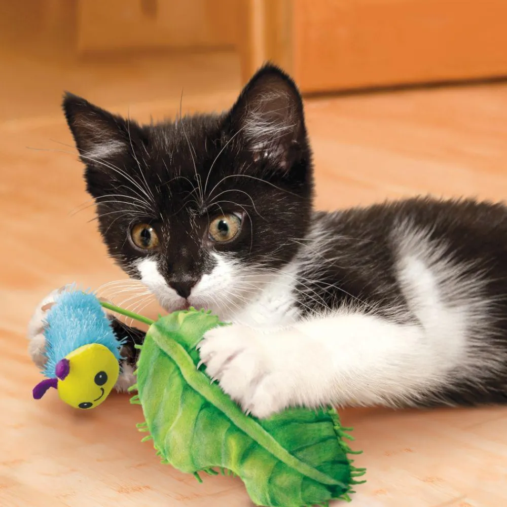 Best Cat Toy Flingaroo Caterpillar Supplies Collars, Scratchers, Toys, Etc.