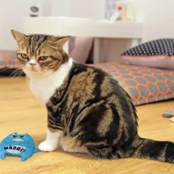 Best Cat Toy Refillable Catnip Toy Purrsonality Spoiled Supplies Collars, Scratchers, Toys, Etc.