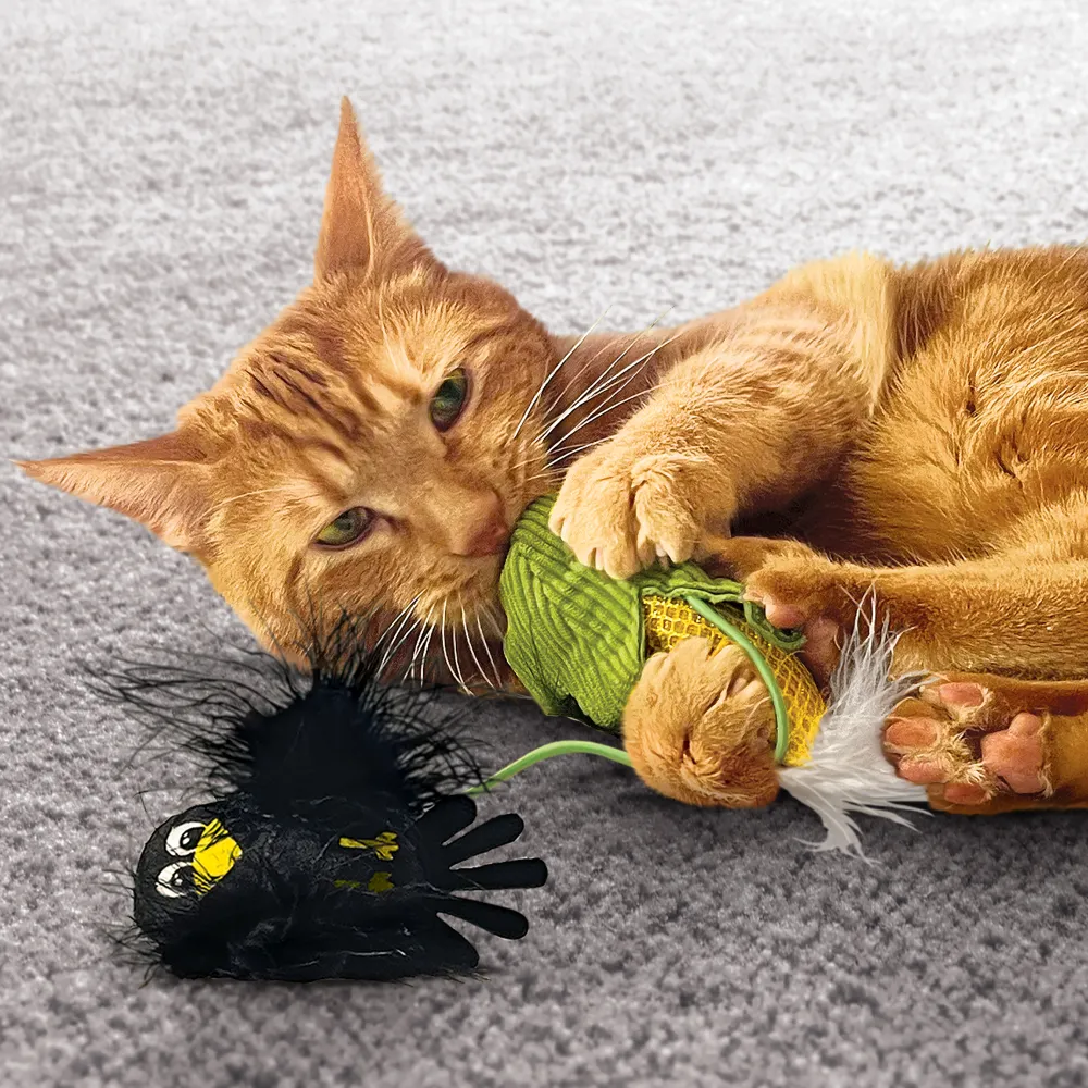 Fashion Cats Flingaroo Corny Supplies Collars, Scratchers, Toys, Etc.